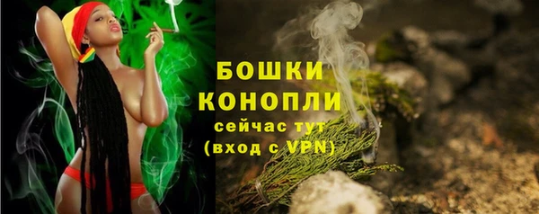 прущая мука Инсар