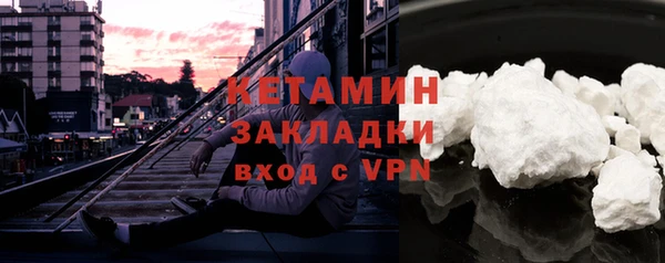 стаф Инта