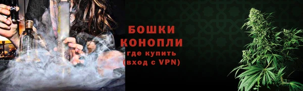 ALPHA PVP Иннополис