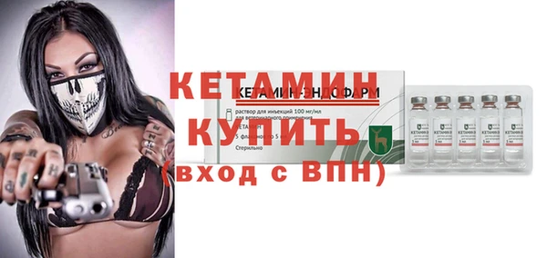 стаф Инта