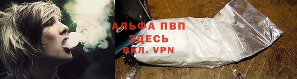 стаф Инта