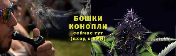 стаф Инта