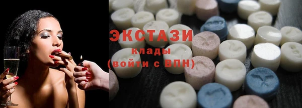 стаф Инта