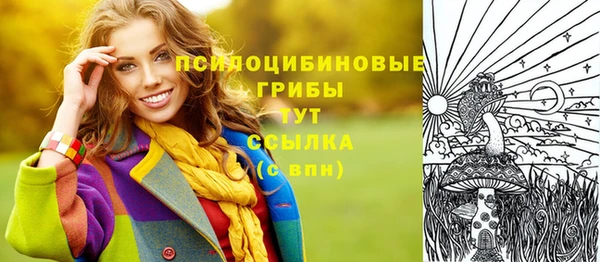 прущая мука Инсар