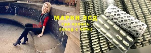 стаф Инта