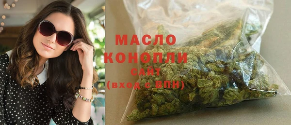 стаф Инта