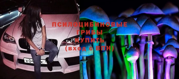 стаф Инта